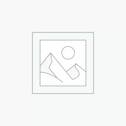 BULK SEO EDITOR WordPress Plugin
